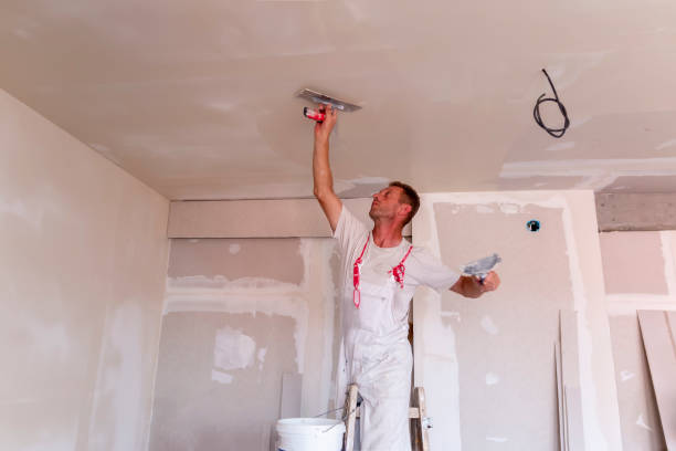 Best Fire-Damaged Drywall Repair  in Colonial Heights, TN